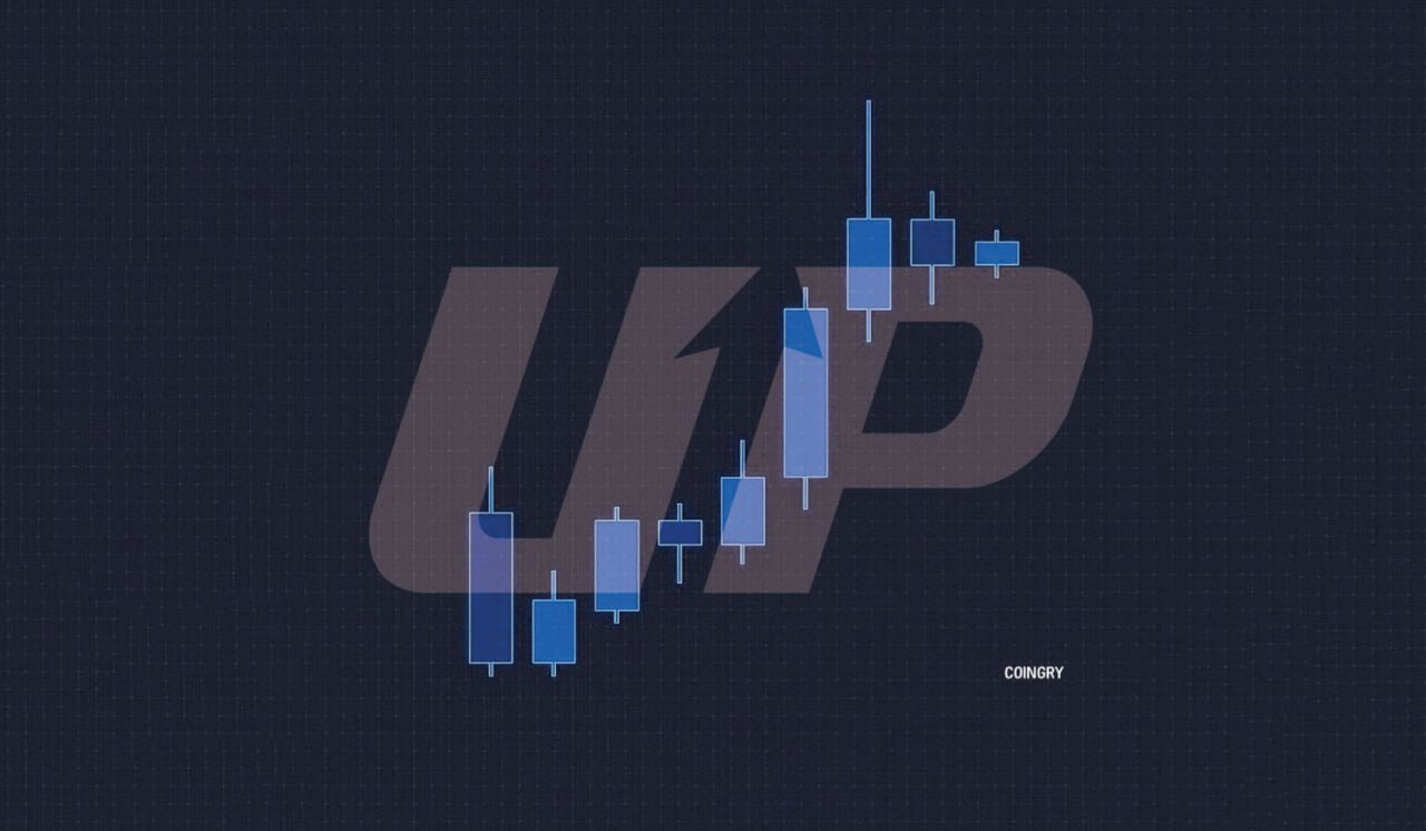 코인그리 업비트 일봉 알림 배너