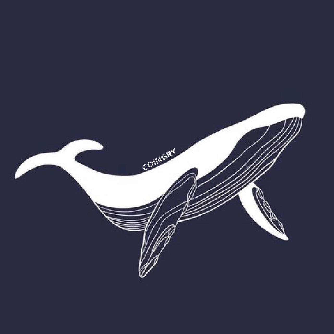 코인그리 고래 선물 체결 알림 배너