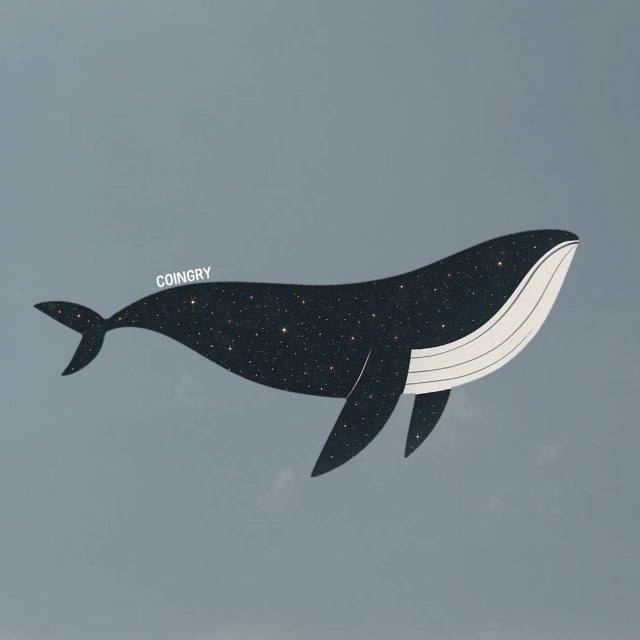 코인그리 고래 실시간 이동 알림 배너